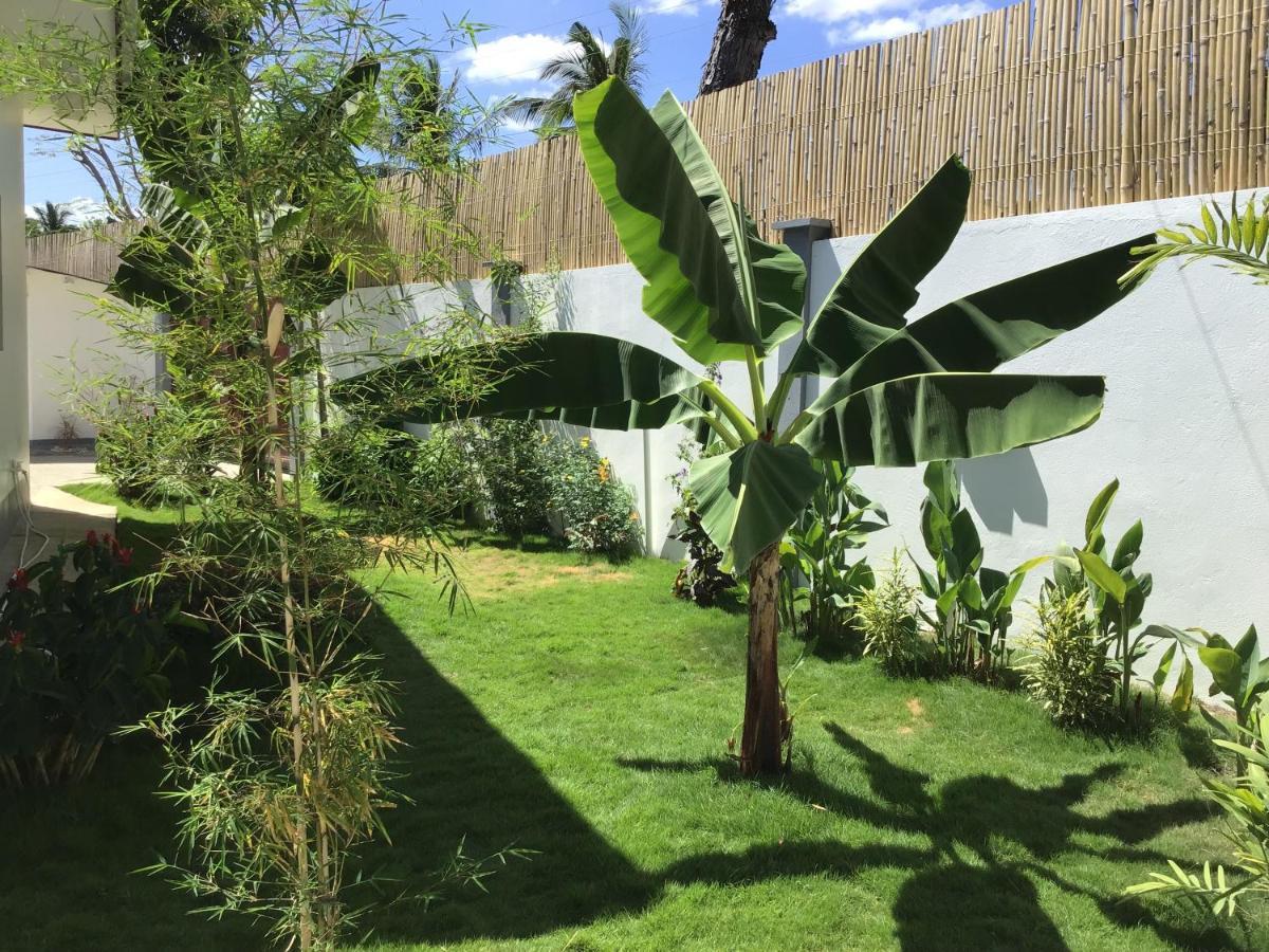 Bamboobeachvilla1 Ac New Oceanfront Pool Sunsetview Garden Kitchen Satellite Starlink Wi-Fi Dimiao Buitenkant foto