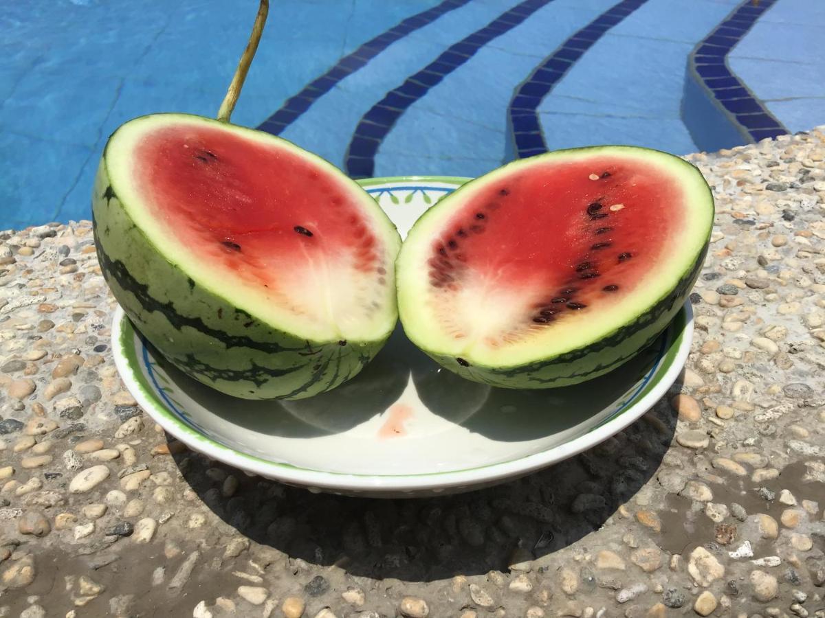 Bamboobeachvilla1 Ac New Oceanfront Pool Sunsetview Garden Kitchen Satellite Starlink Wi-Fi Dimiao Buitenkant foto