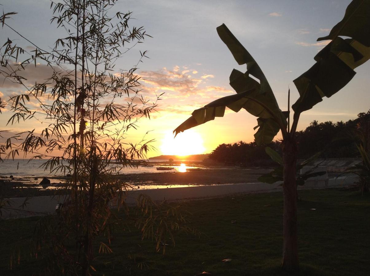 Bamboobeachvilla1 Ac New Oceanfront Pool Sunsetview Garden Kitchen Satellite Starlink Wi-Fi Dimiao Buitenkant foto
