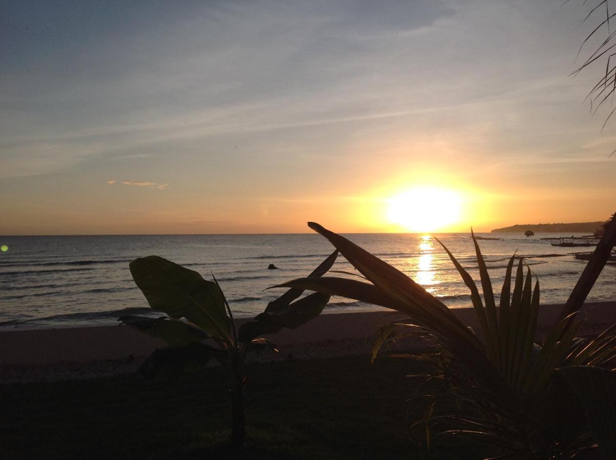Bamboobeachvilla1 Ac New Oceanfront Pool Sunsetview Garden Kitchen Satellite Starlink Wi-Fi Dimiao Buitenkant foto