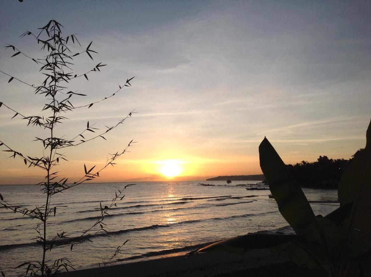 Bamboobeachvilla1 Ac New Oceanfront Pool Sunsetview Garden Kitchen Satellite Starlink Wi-Fi Dimiao Buitenkant foto